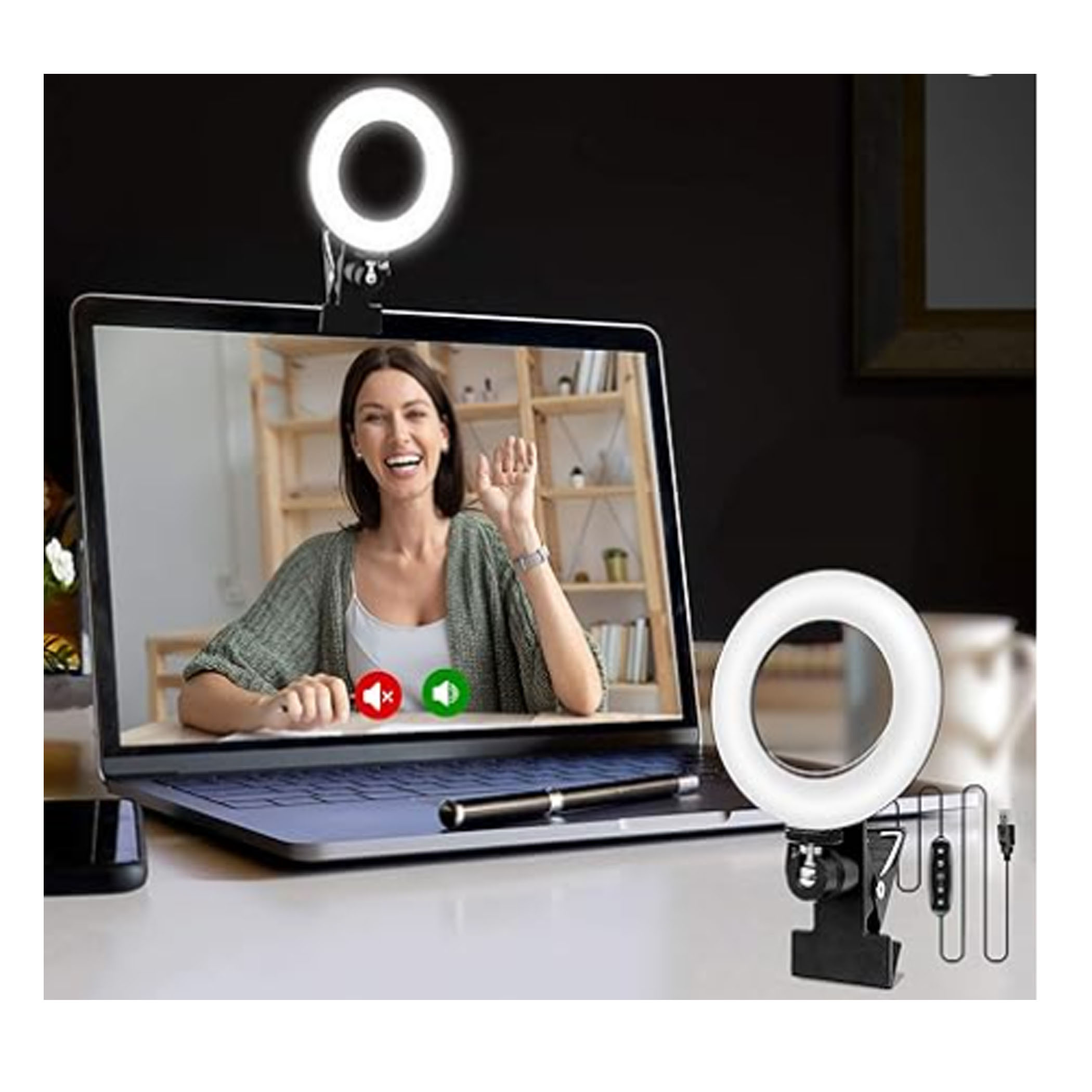 Video Conference Lighting Kit